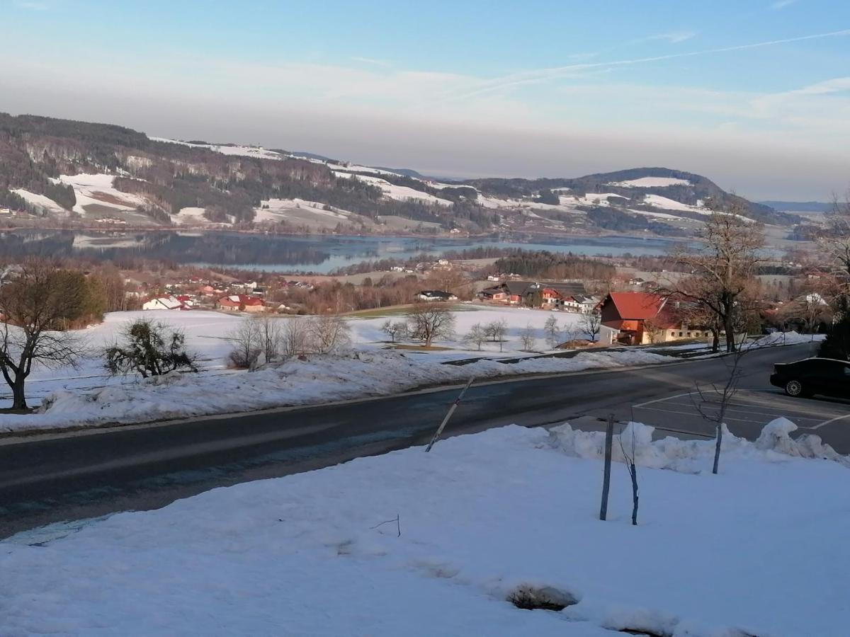 Wunderschoene Ferienwohnung Mit Seeblick Zell am Moos Exterior photo