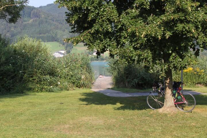 Wunderschoene Ferienwohnung Mit Seeblick Zell am Moos Exterior photo