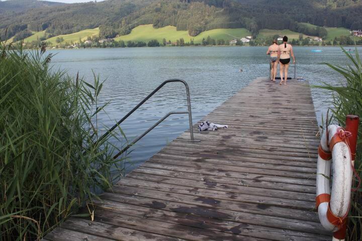 Wunderschoene Ferienwohnung Mit Seeblick Zell am Moos Exterior photo